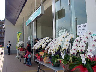 �s�}�ӂꂠ���̋u�w